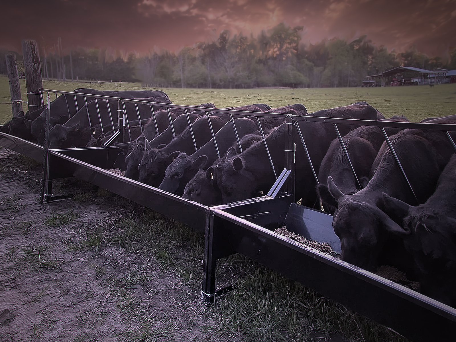 Feed Equipment